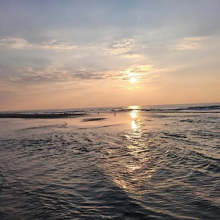 Eg Rollstuhlwohnung 80qm Zum Herbst- Und Winterpreis