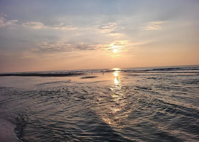 Eg Rollstuhlwohnung 80qm Zum Fruehjahr- Und Sommerpreis